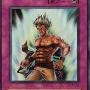 Yu-Gi-Oh! KA Riryoku Field