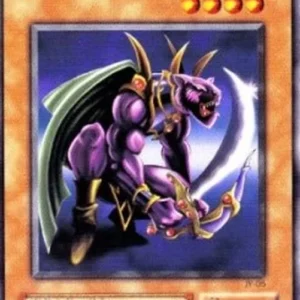 Yu-Gi-Oh! JY Panther Warrior