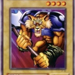 Yu-Gi-Oh! JY Tiger Axe