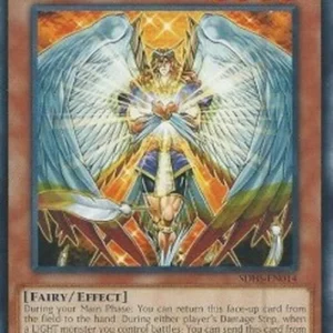 Yu-Gi-Oh! SDHS Honest