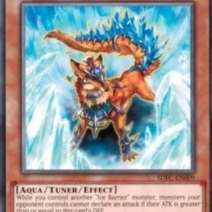 Yu-Gi-Oh! SDFC Defender of the Ice Barrier