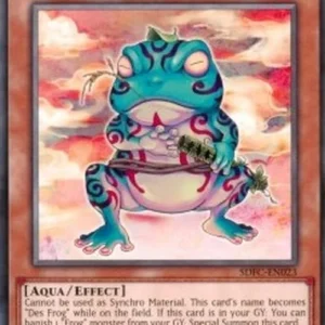 Yu-Gi-Oh! SDFC Ronintoadin