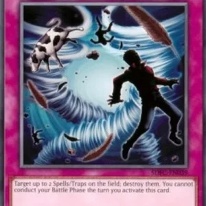 Yu-Gi-Oh! SDFC Heavy Storm Duster