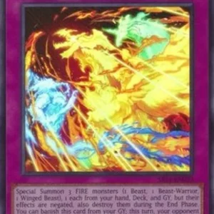 Yu-Gi-Oh! SR14 Echelon of the Fire Kings