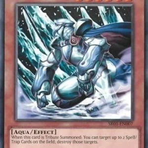Yu-Gi-Oh! SR01 Mobius the Frost Monarch