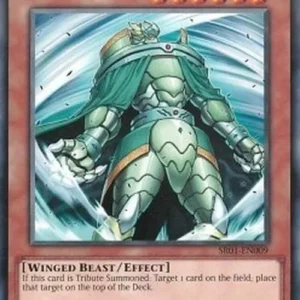 Yu-Gi-Oh! SR01 Raiza the Storm Monarch