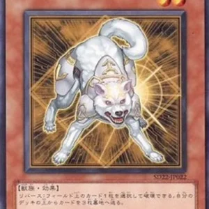 Yu-Gi-Oh! SD22 Ryko, Lightsworn Hunter