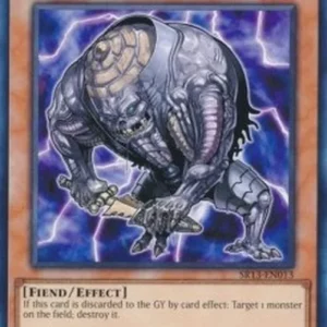 Yu-Gi-Oh! SR13 Kahkki, Guerilla of Dark World