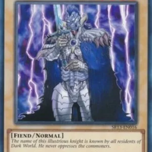 Yu-Gi-Oh! SR13 Zure, Knight of Dark World