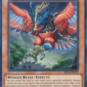 Yu-Gi-Oh! SR13 Danger! Thunderbird!