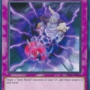 Yu-Gi-Oh! SR13 The Forces of Darkness