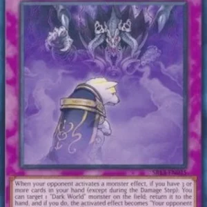 Yu-Gi-Oh! SR13 Dark World Brainwashing