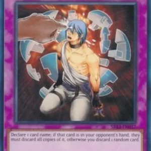 Yu-Gi-Oh! SR13 Mind Crush
