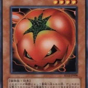 Yu-Gi-Oh! SD12 Mystic Tomato
