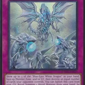Yu-Gi-Oh! SDWD Majesty of the White Dragons