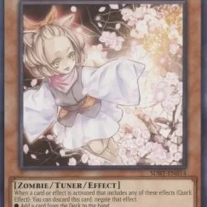 Yu-Gi-Oh! SDBT Ash Blossom & Joyous Spring