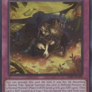 Yu-Gi-Oh! SDBT Traptrix Holeutea