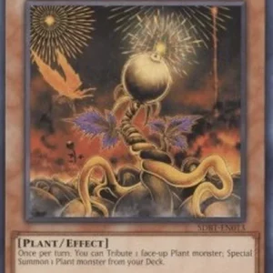 Yu-Gi-Oh! SDBT Lonefire Blossom