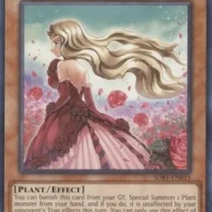 Yu-Gi-Oh! SDBT Rose Lover