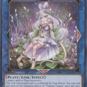 Yu-Gi-Oh! SDBT Traptrix Cularia