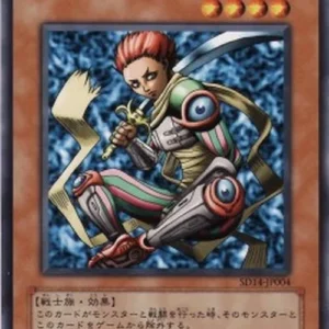 Yu-Gi-Oh! SD14 D.D. Warrior