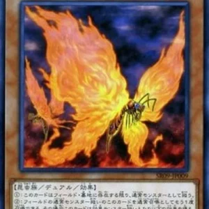 Yu-Gi-Oh! SR09-JP Blazewing Butterfly