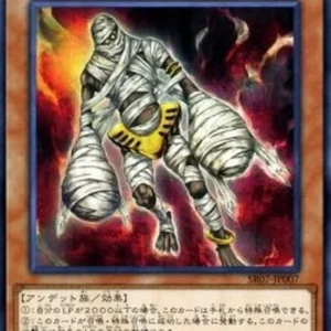 Yu-Gi-Oh! SR07-JP Endless Decay