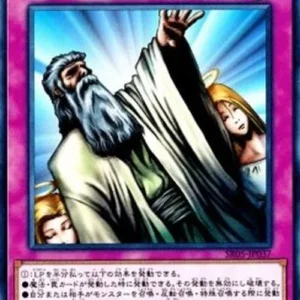 Yu-Gi-Oh! SR05-JP Solemn Judgment