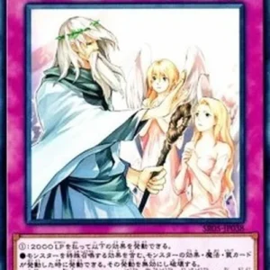 Yu-Gi-Oh! SR05-JP Solemn Warning