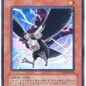 Yu-Gi-Oh! STON-JP D.D. Crow
