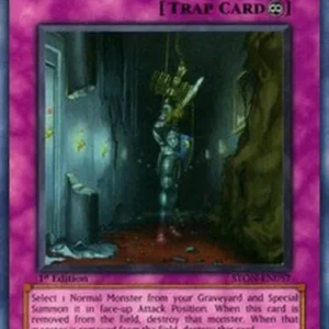 Yu-Gi-Oh! STON Birthright (V.1 - Super Rare)