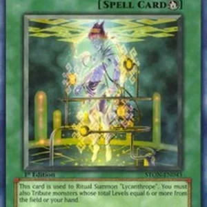 Yu-Gi-Oh! STON Synthesis Spell