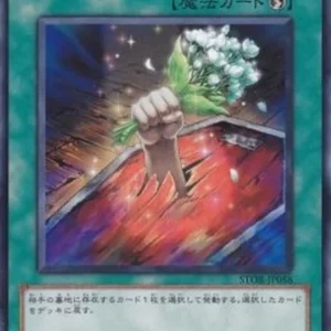Yu-Gi-Oh! STOR-JP Foolish Return