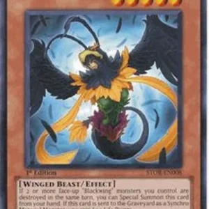Yu-Gi-Oh! STOR Blackwing - Brisote the Tailwind