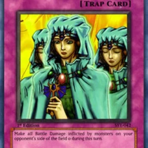 Yu-Gi-Oh! SYE Waboku