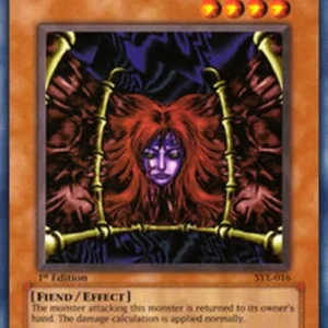 Yu-Gi-Oh! SYE Wall of Illusion