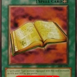 Yu-Gi-Oh! SDY Book of Secret Arts (V.3 - Common)
