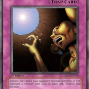 Yu-Gi-Oh! 5DS1 Trap Hole