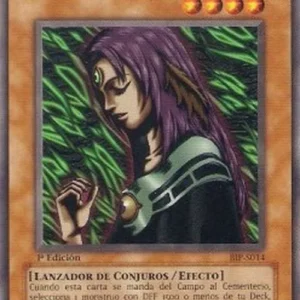 Yu-Gi-Oh! BIP Witch of the Black Forest