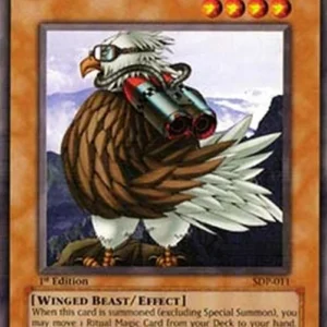 Yu-Gi-Oh! SDP Sonic Bird