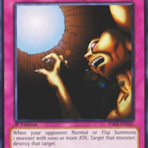Yu-Gi-Oh! YSKR Trap Hole