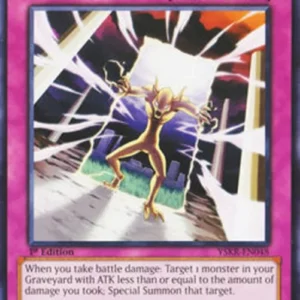 Yu-Gi-Oh! YSKR Damage Gate