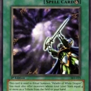Yu-Gi-Oh! SKE White Dragon Ritual