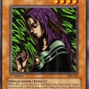 Yu-Gi-Oh! SKE Witch of the Black Forest