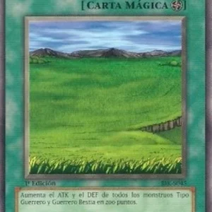 Yu-Gi-Oh! BIK Sogen