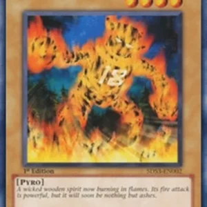 Yu-Gi-Oh! 5DS3 Blazing Inpachi