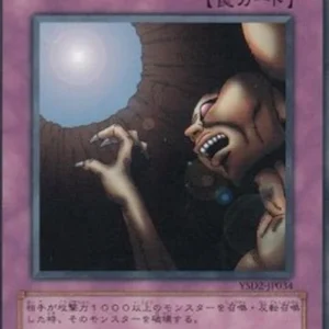 Yu-Gi-Oh! YSD2 Trap Hole