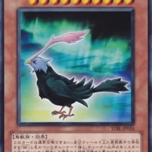 Yu-Gi-Oh! STBL-JP Blackwing - Aurora the Northern Lights