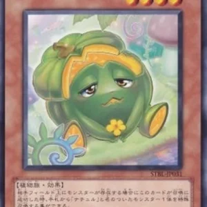 Yu-Gi-Oh! STBL-JP Naturia Pumpkin