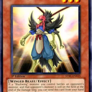 Yu-Gi-Oh! STBL Blackwing - Etesian of Two Swords